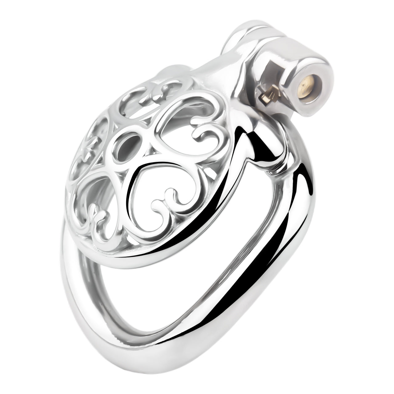Locked In Love Chastity