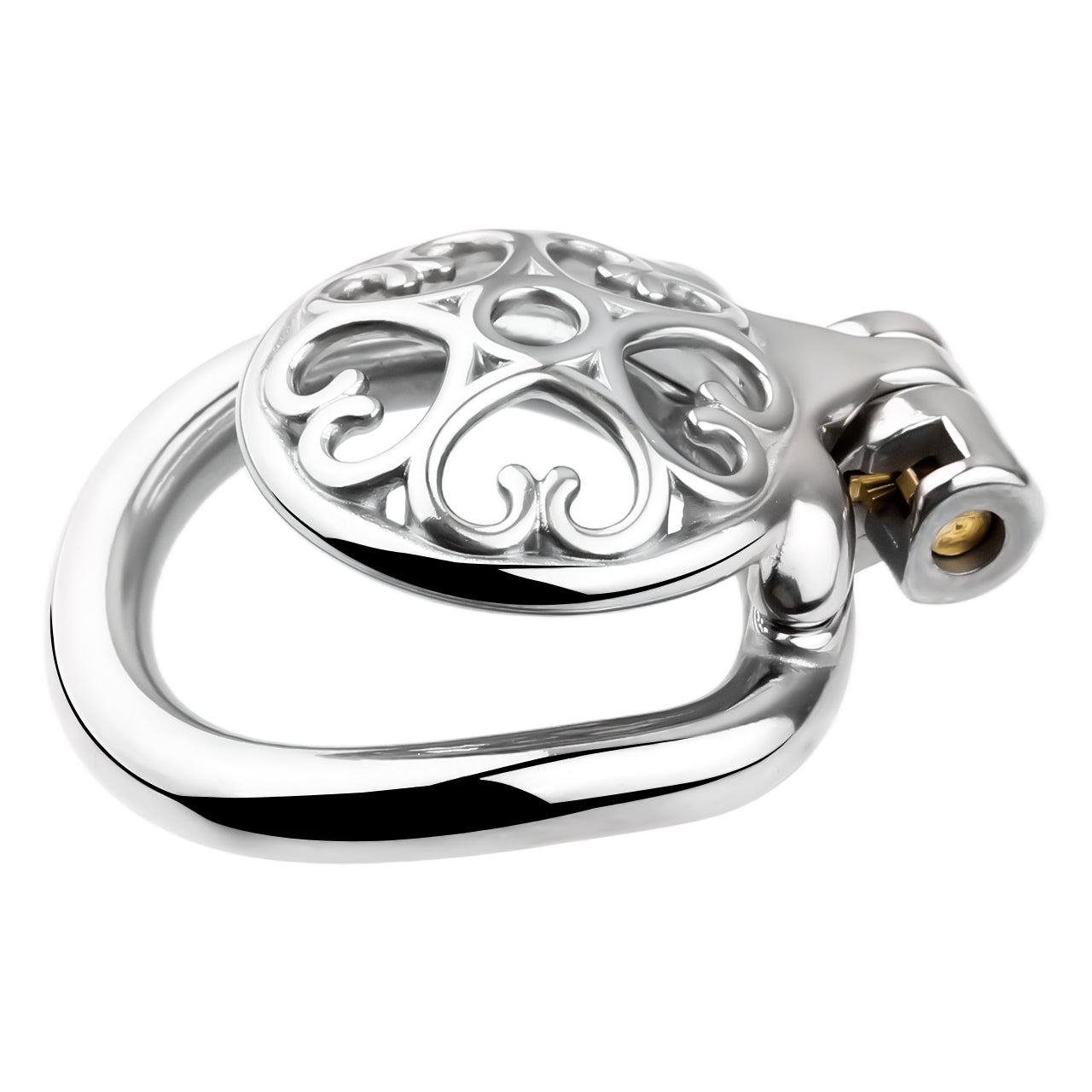 Locked In Love Chastity