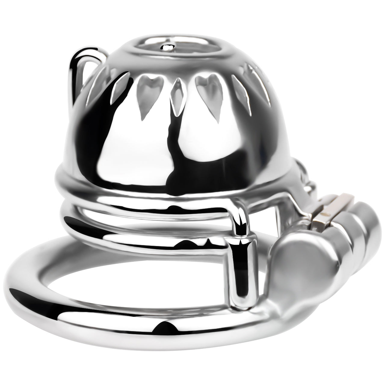 PA Chastity Cage | F229