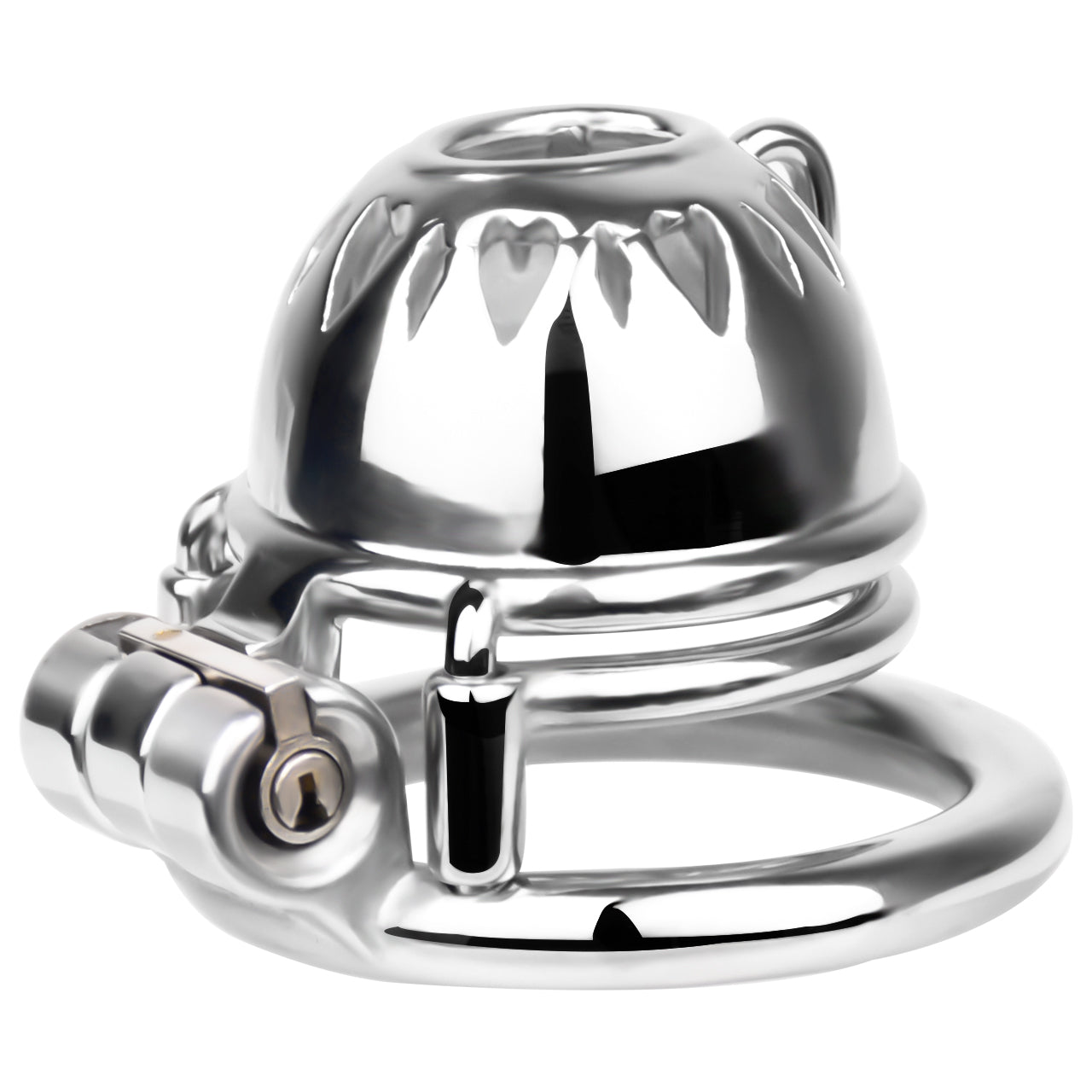 PA Chastity Cage | F229
