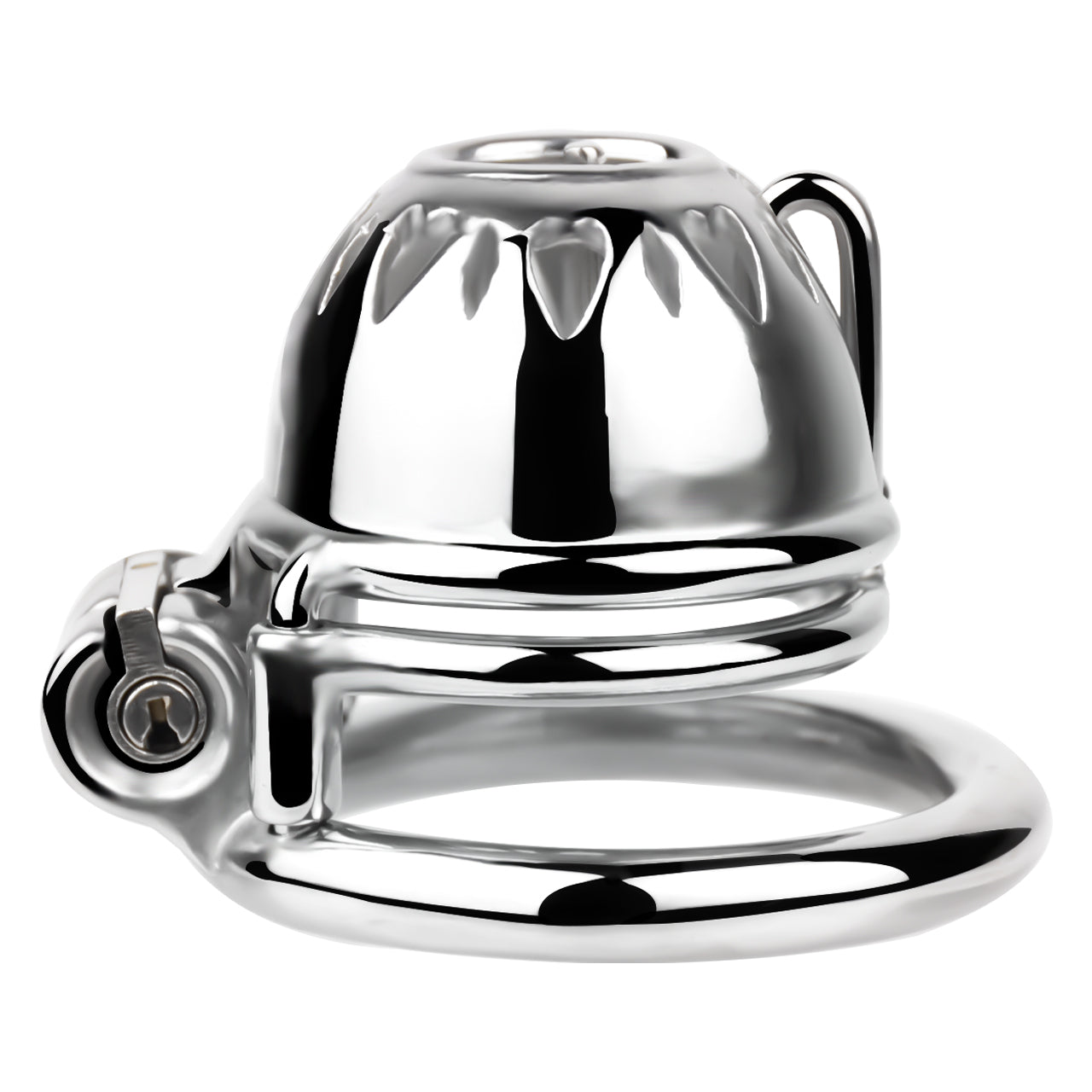 PA Chastity Cage | F229