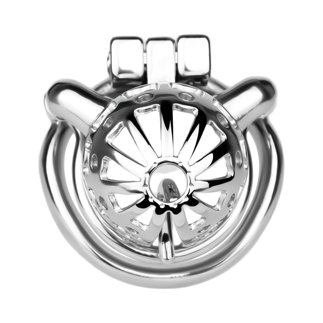 Weighted PA Chastity Cage