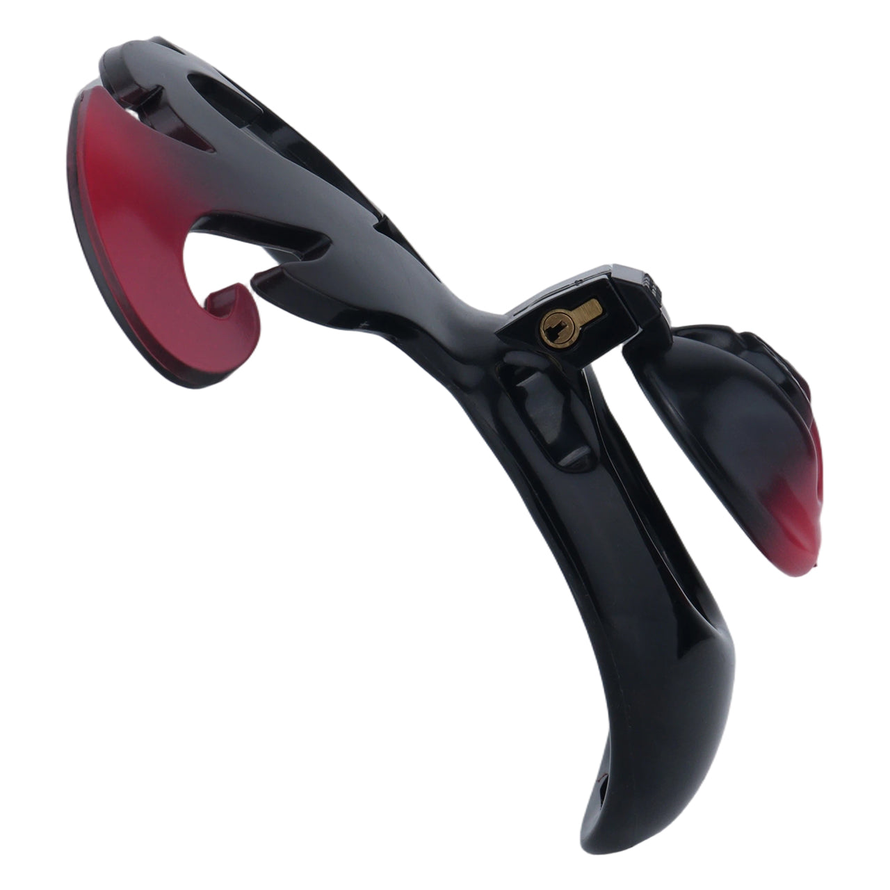 Succubus Pussy Chastity Cage | F300