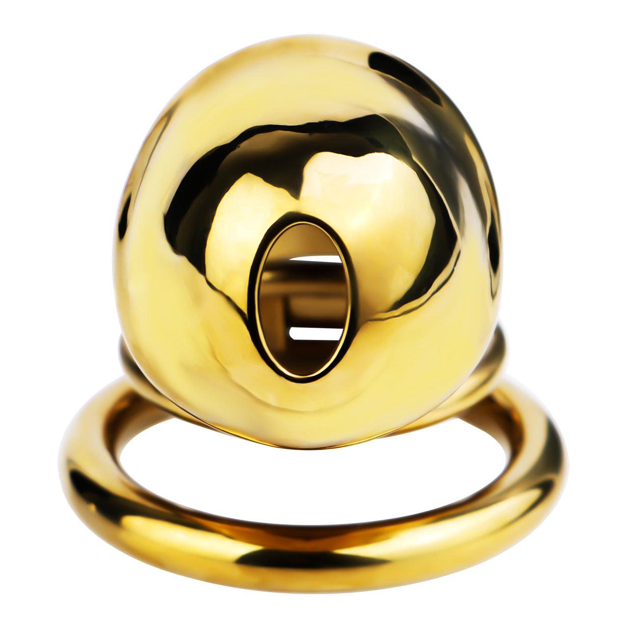 Metal Chastity Dick Locking Cage