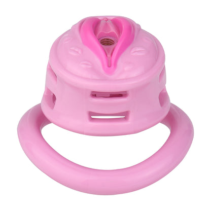 Sissy Feminization Chastity Cage