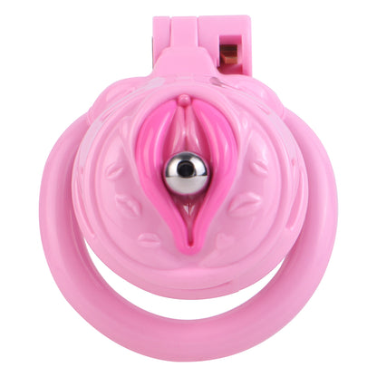 Sissy Feminization Chastity Cage