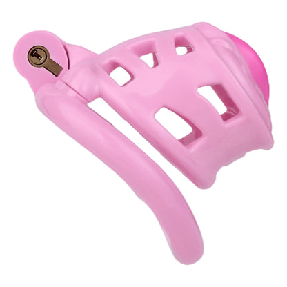 Sissy Feminization Chastity Cage