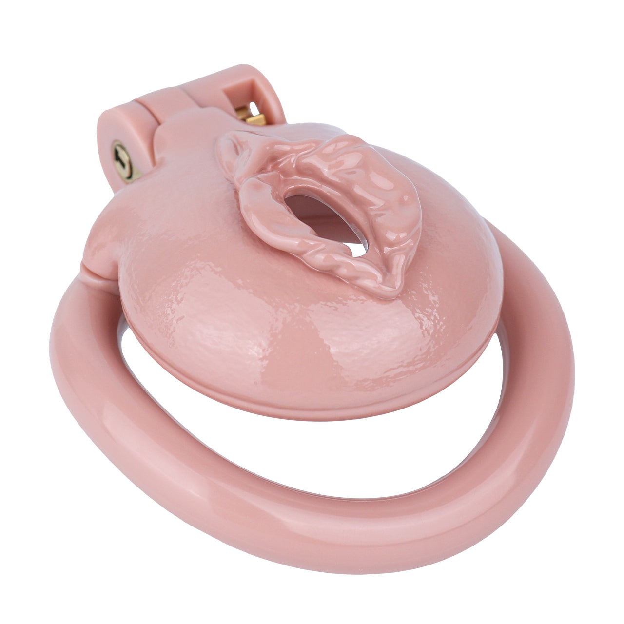 Sissy Feminization Chastity Cage | AS033