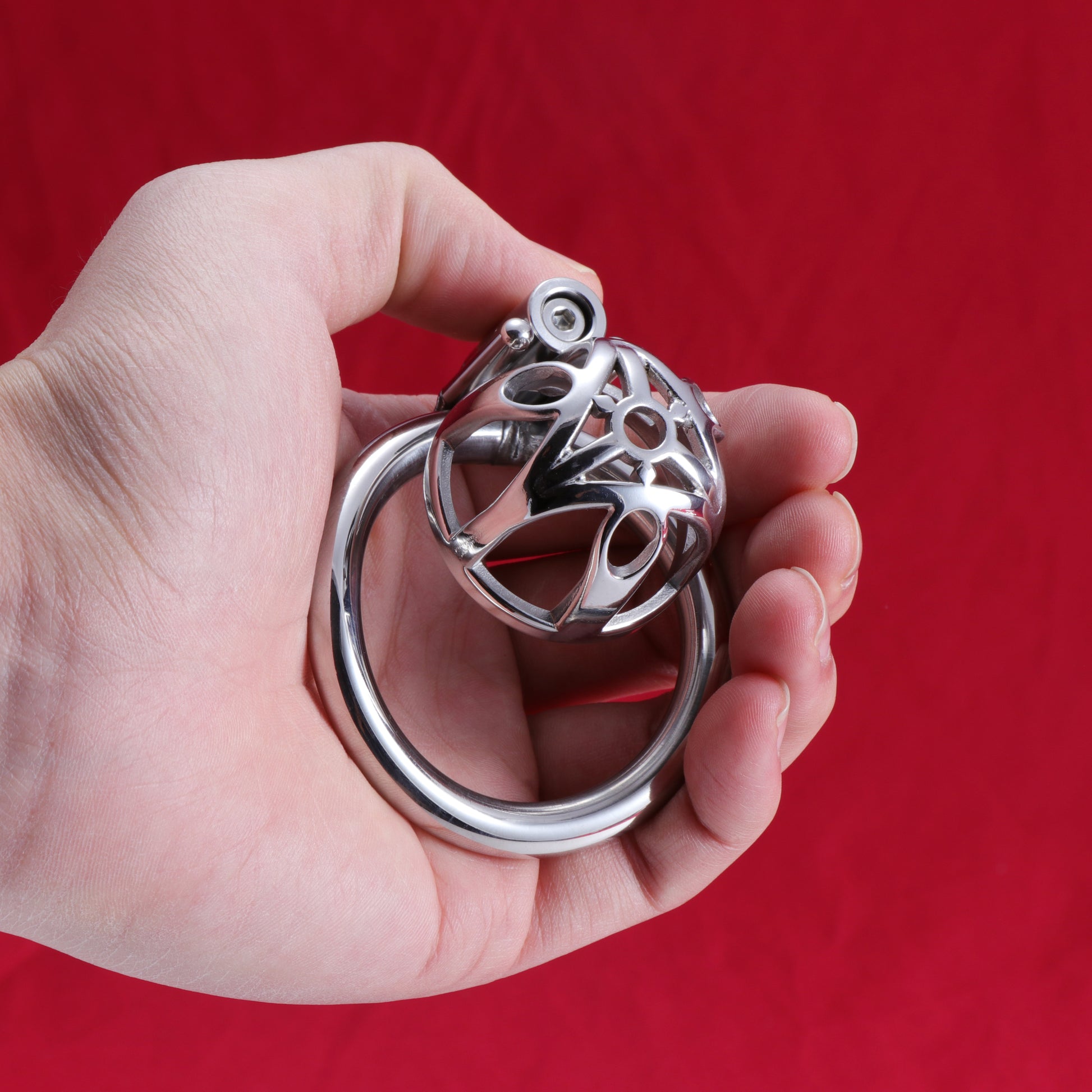 Allen Wrench Locks Male Chastity Cage, F3130 - FRRK