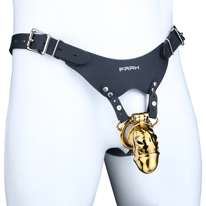 Metal Chastity Dick Locking Cage