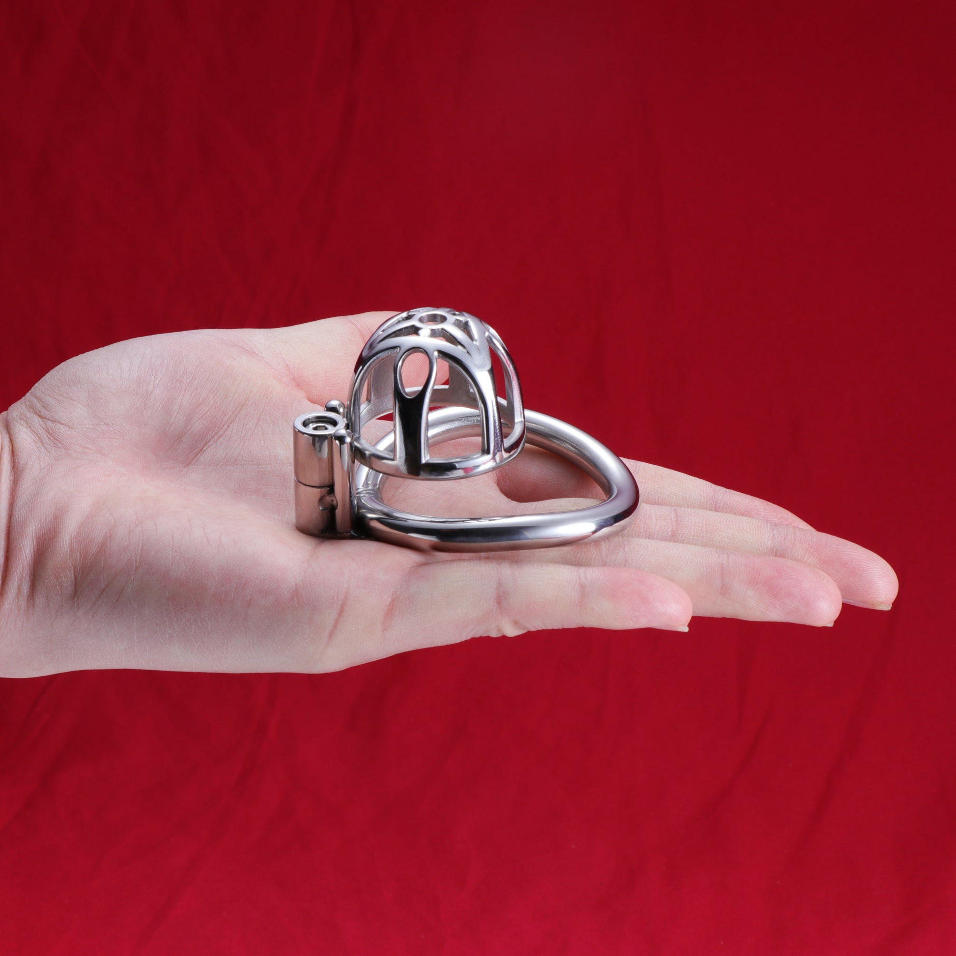Allen Wrench Locks Male Chastity Cage, F3130 - FRRK