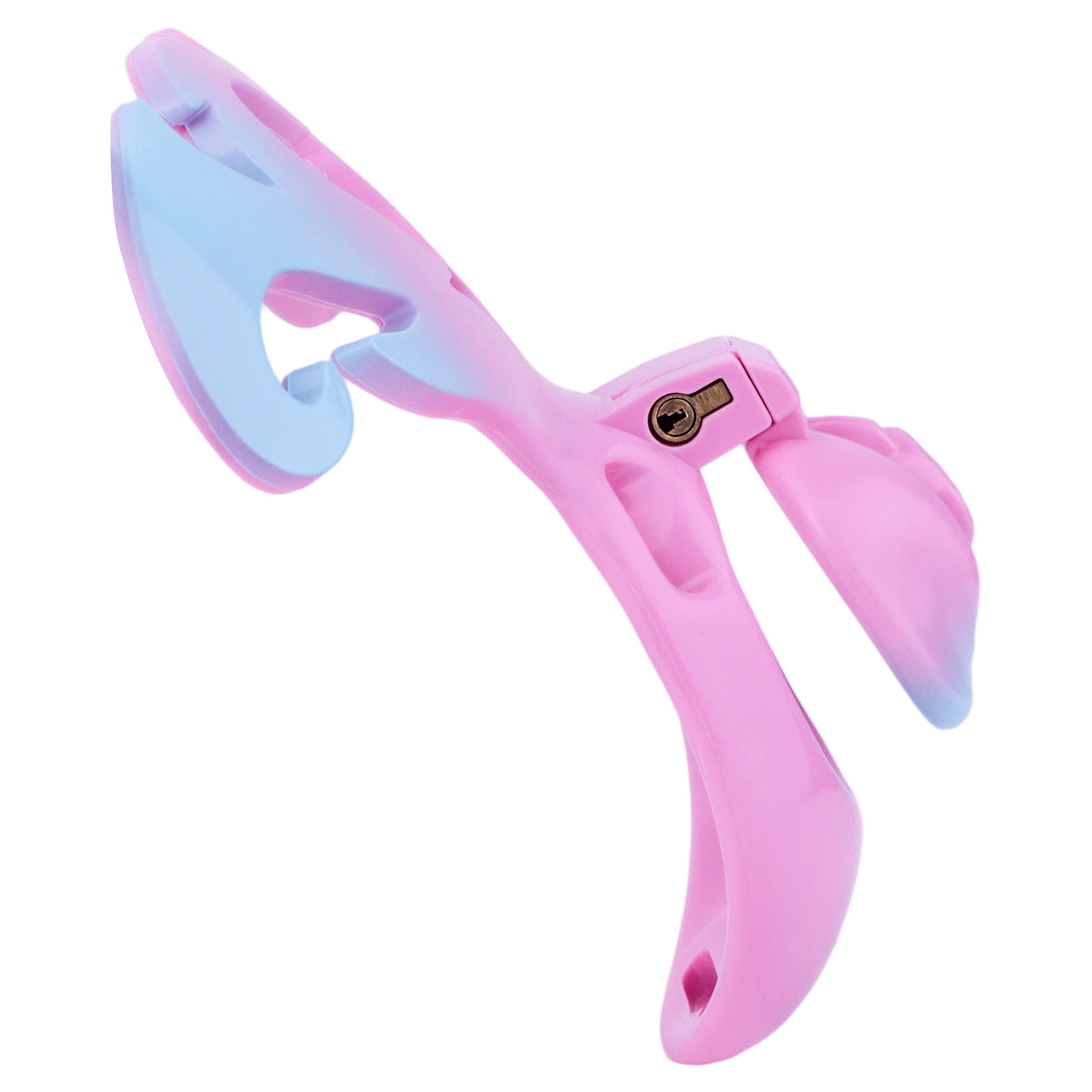 Succubus Pussy Chastity Cage | F300