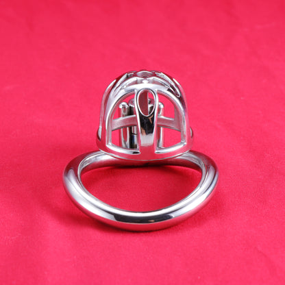 Allen Wrench Locks Male Chastity Cage, F3130 - FRRK