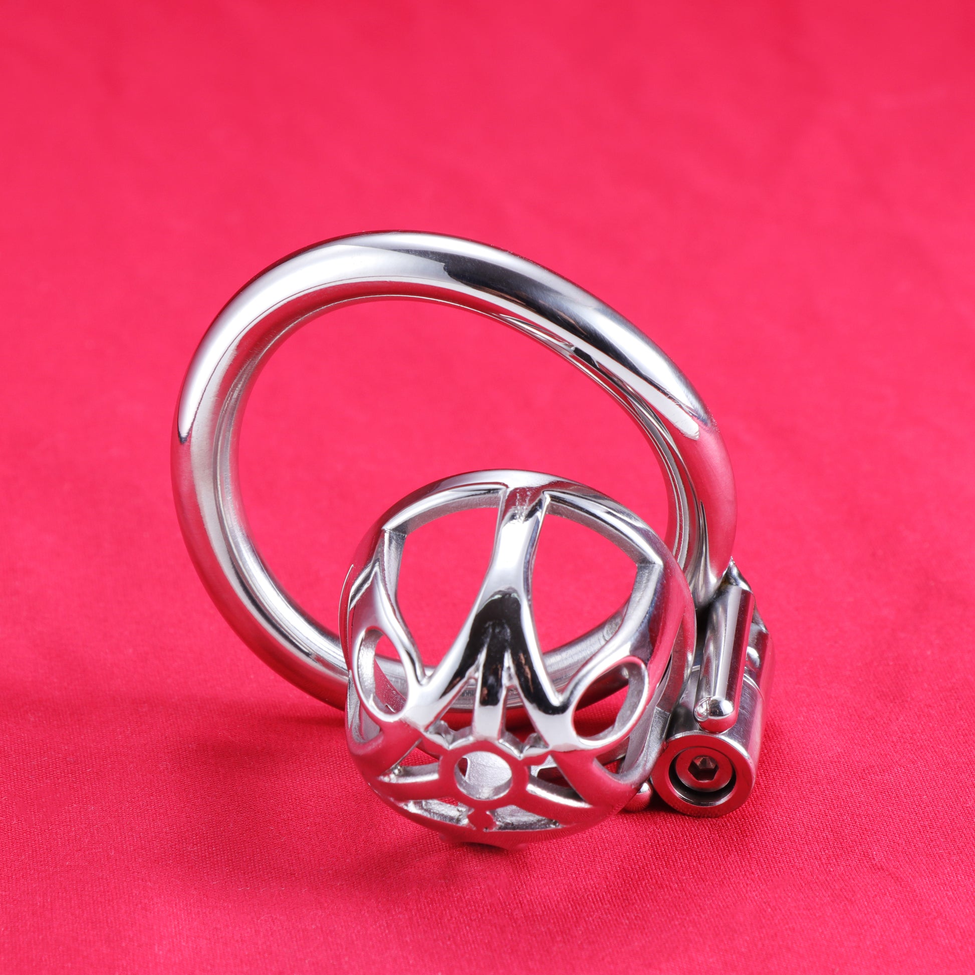 Allen Wrench Locks Male Chastity Cage, F3130 - FRRK