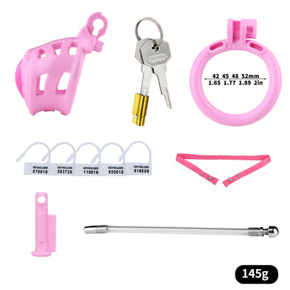 Sissy Feminization Chastity Cage