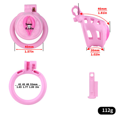 Sissy Feminization Chastity Cage
