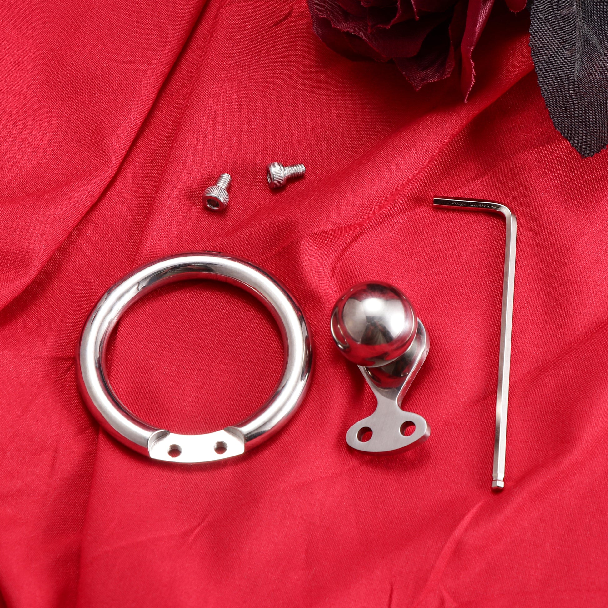 Negative Ball Inverted Steel Flat Chastity Cage, F3158 - FRRK