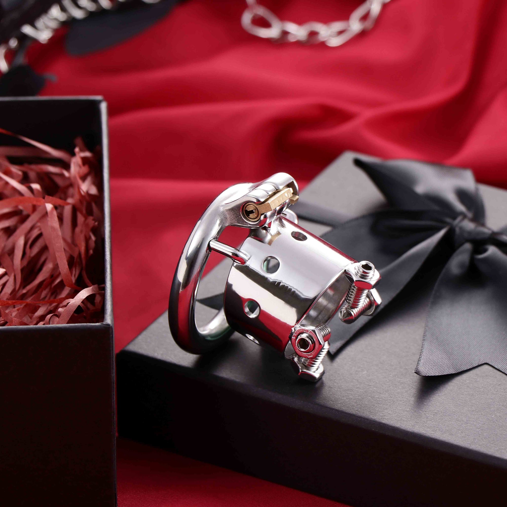 Open Head Male Chastity Cage with Removable Spikes, F3029 - FRRK
