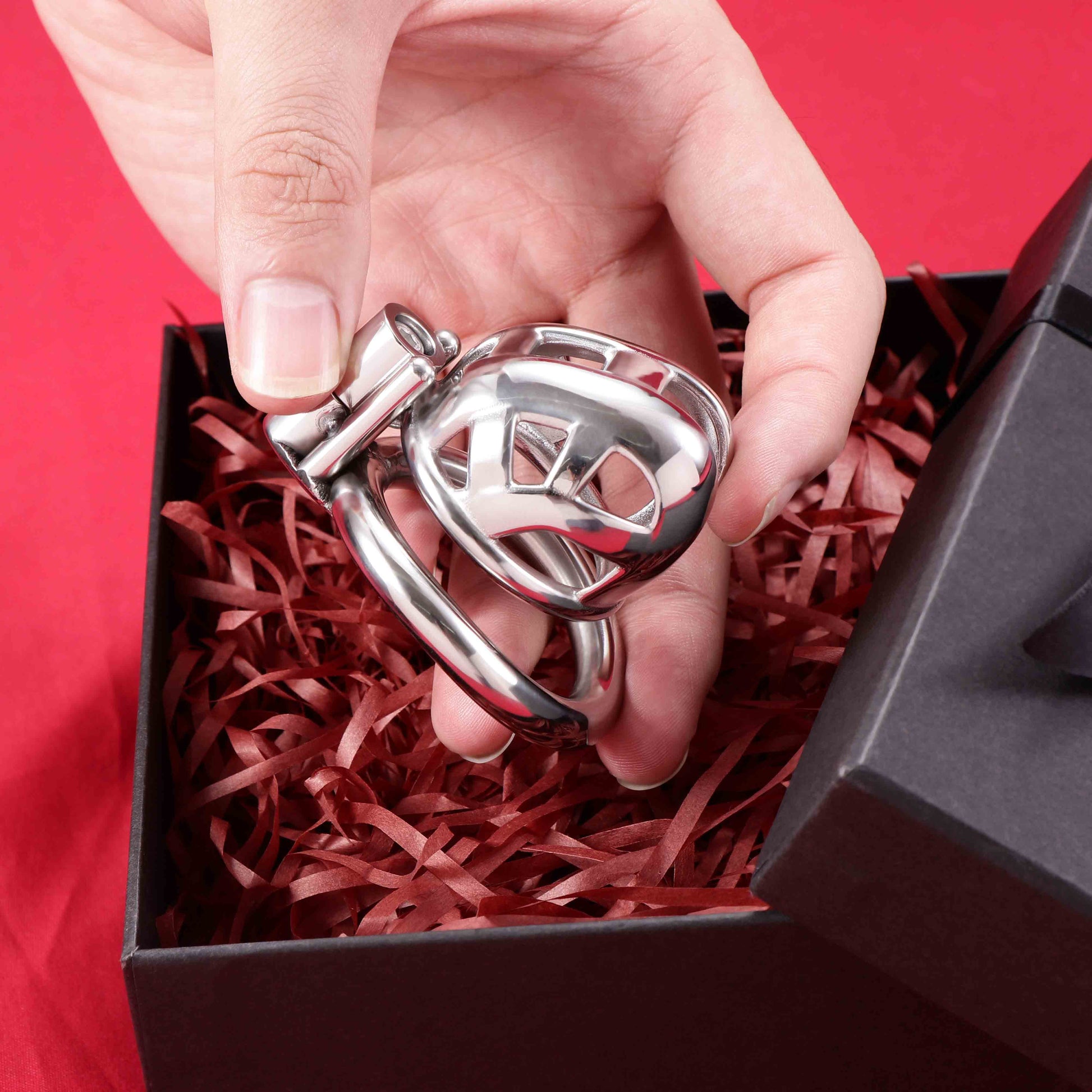 Nano Mamba Chastity Cage Allen Wrench Lock | F3141