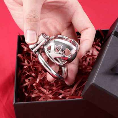 Nano Mamba Chastity Cage Allen Wrench Lock | F3141