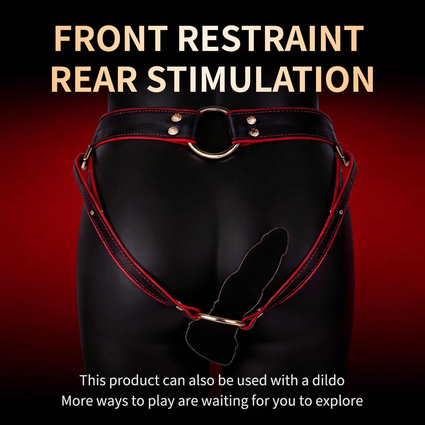 Lockable Leather Harness Chastity Cage | DV9031