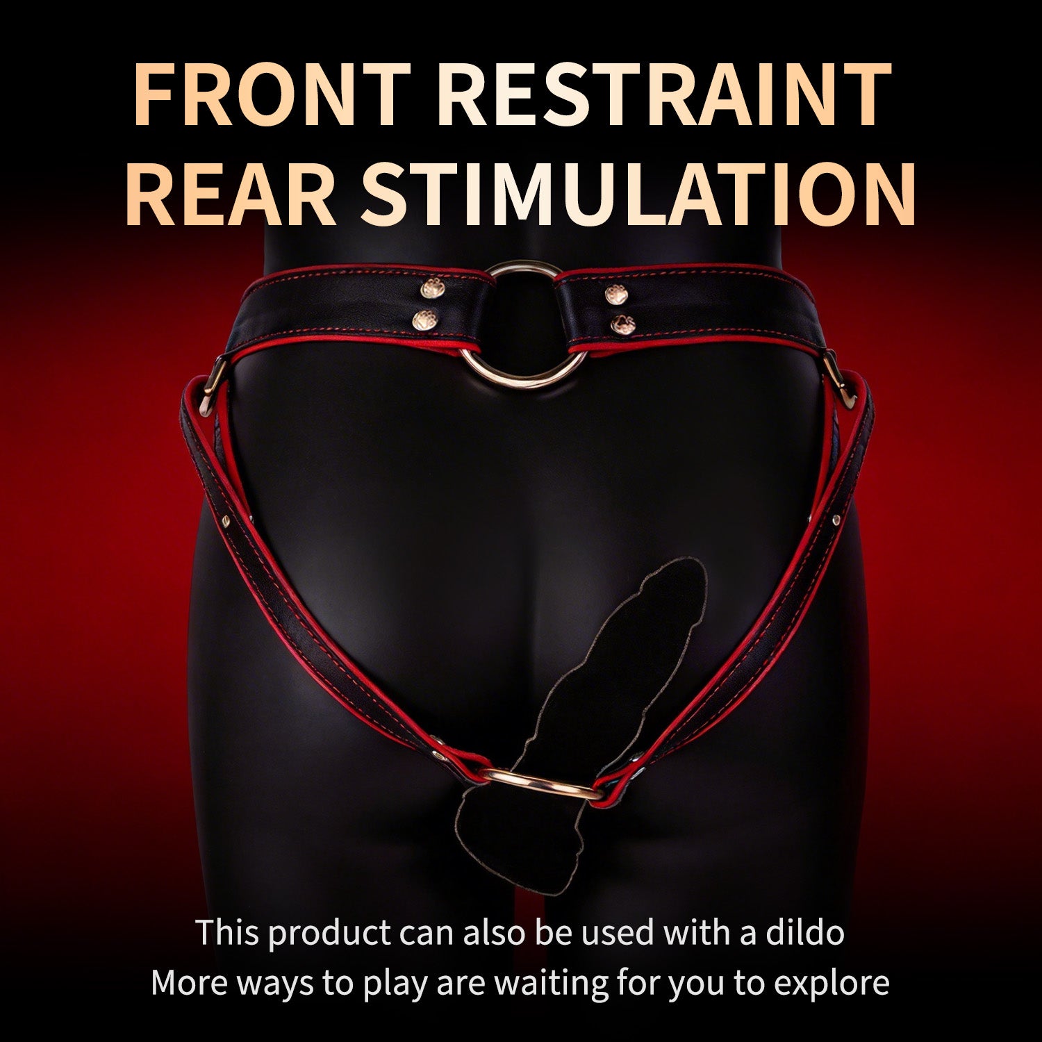 Lockable Leather Harness Chastity Cage | DV9031
