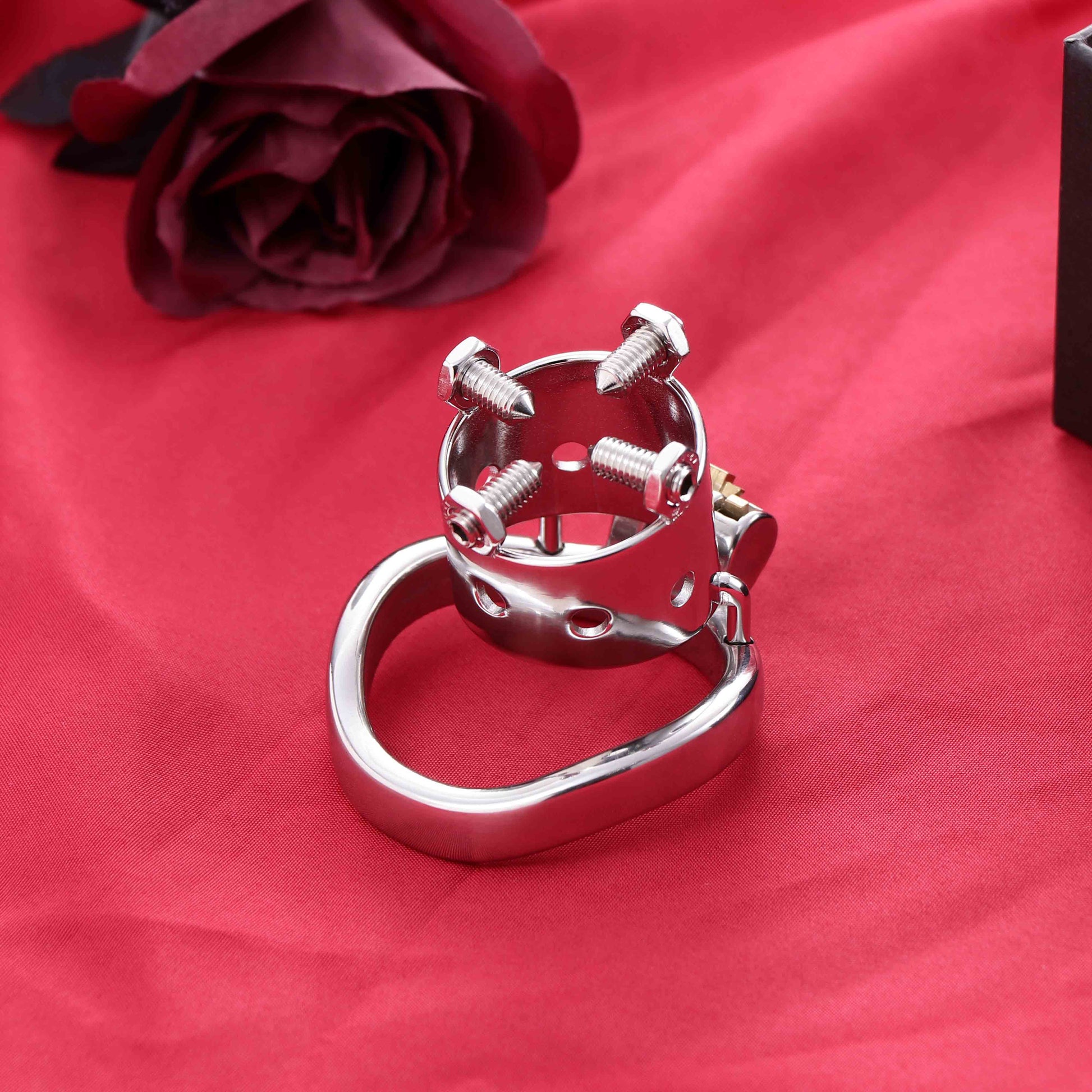 Open Head Male Chastity Cage with Removable Spikes, F3029 - FRRK