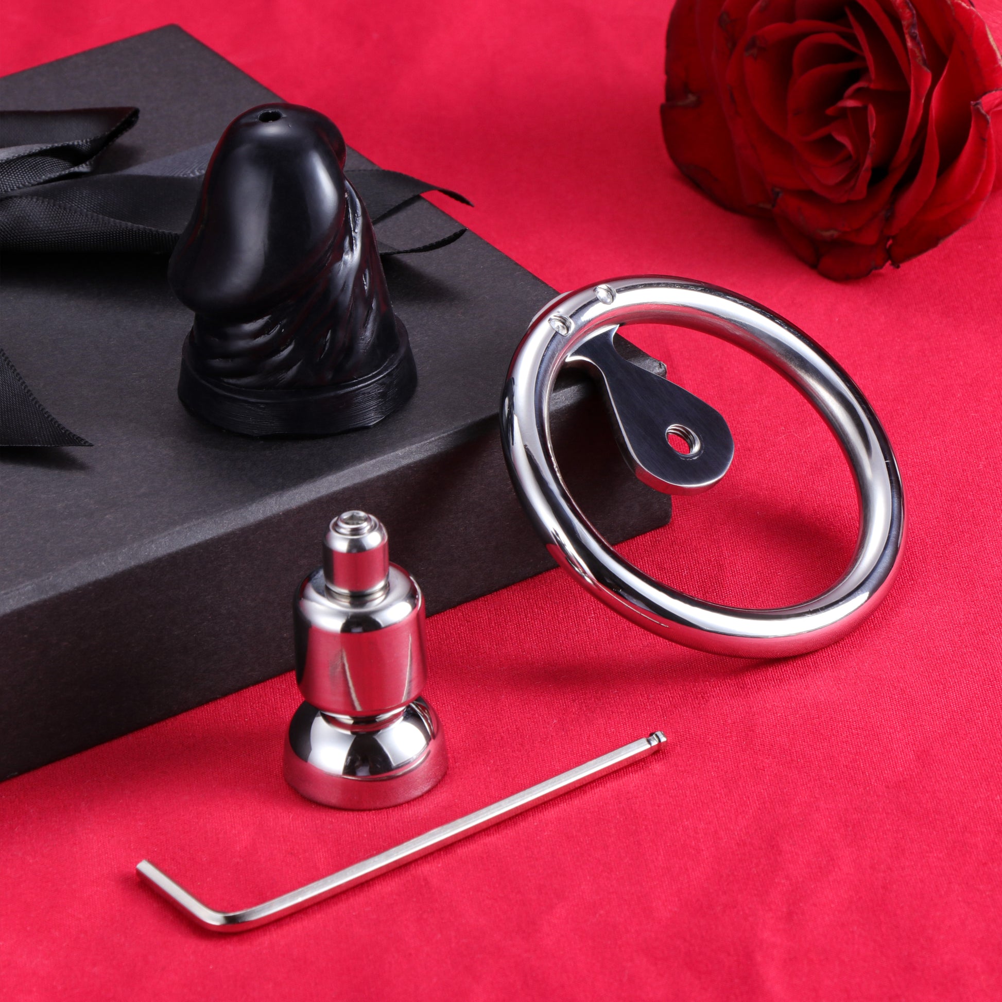 Flat Inverted Chastity Cage With Dildo, F3403 - FRRK