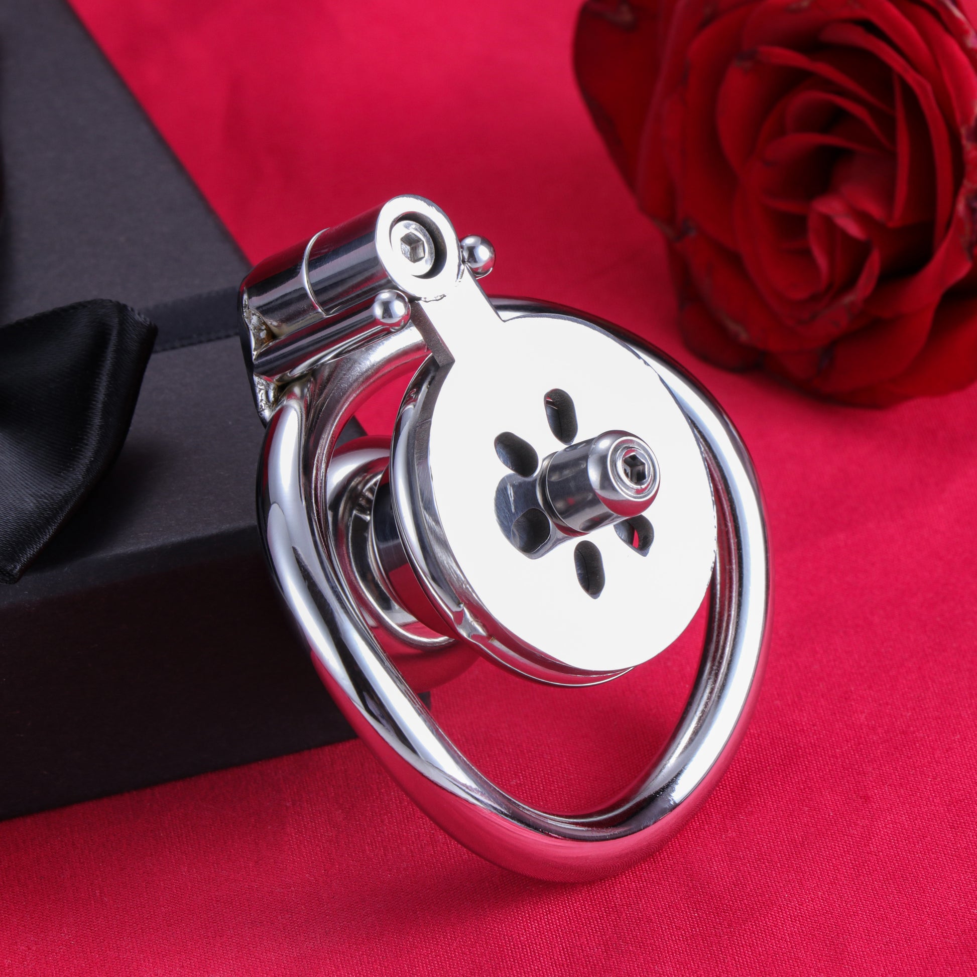 Inverted Chastity Cage With Dildo Allen Wrench Lock, F3401 - FRRK