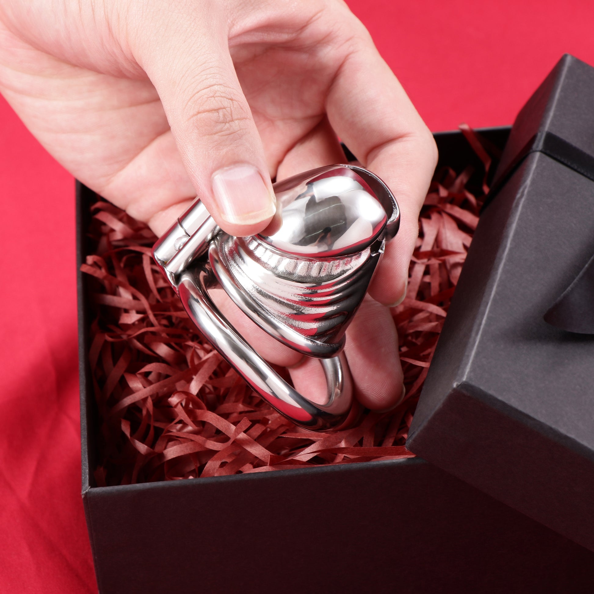 Allen Wrench Locks Solid Steel Male Chastity Cage, F3106 - FRRK