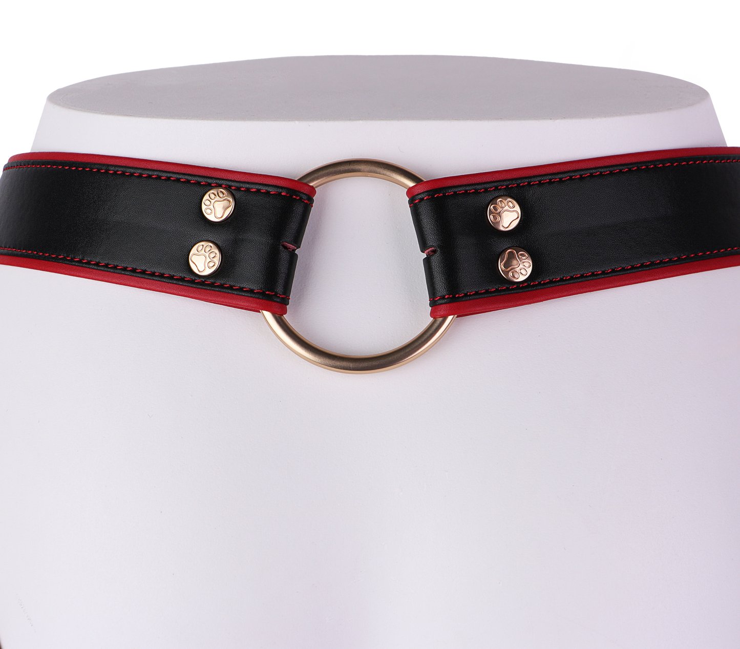 Lockable Leather Harness Chastity Cage | DV9031