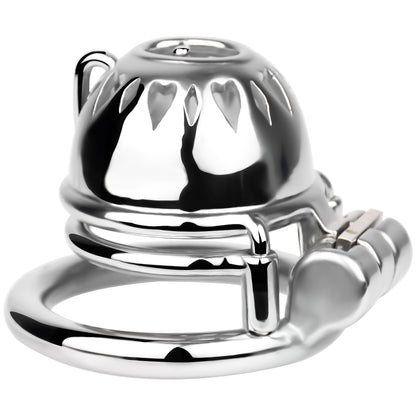 PA Chastity Cage | F229