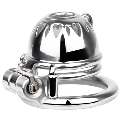 PA Chastity Cage | F229