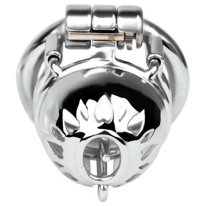 PA Chastity Cage | F229