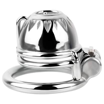 PA Chastity Cage | F229