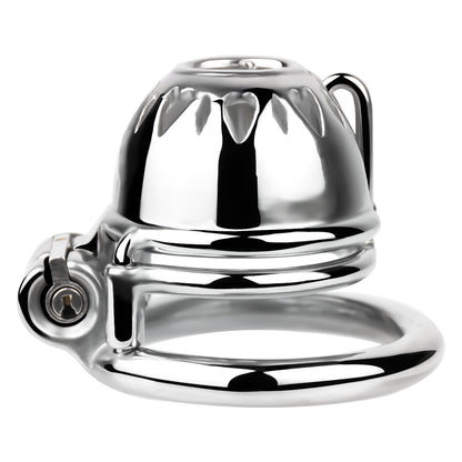 PA Chastity Cage | F229