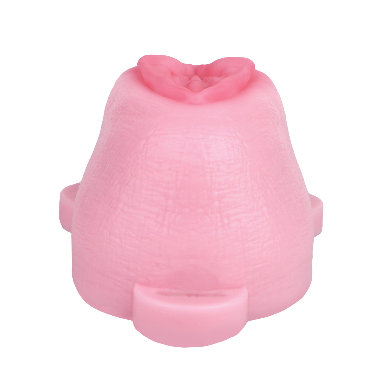 Sissy Feminization Pussy Panties
