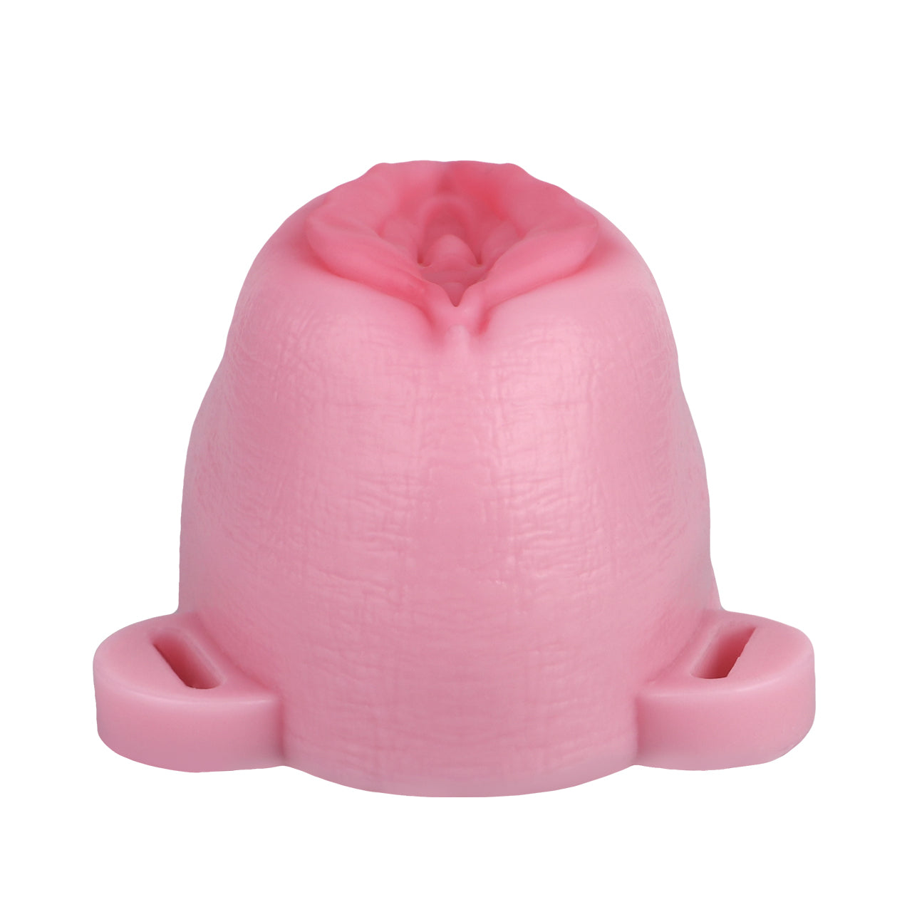 Sissy Feminization Pussy Panties