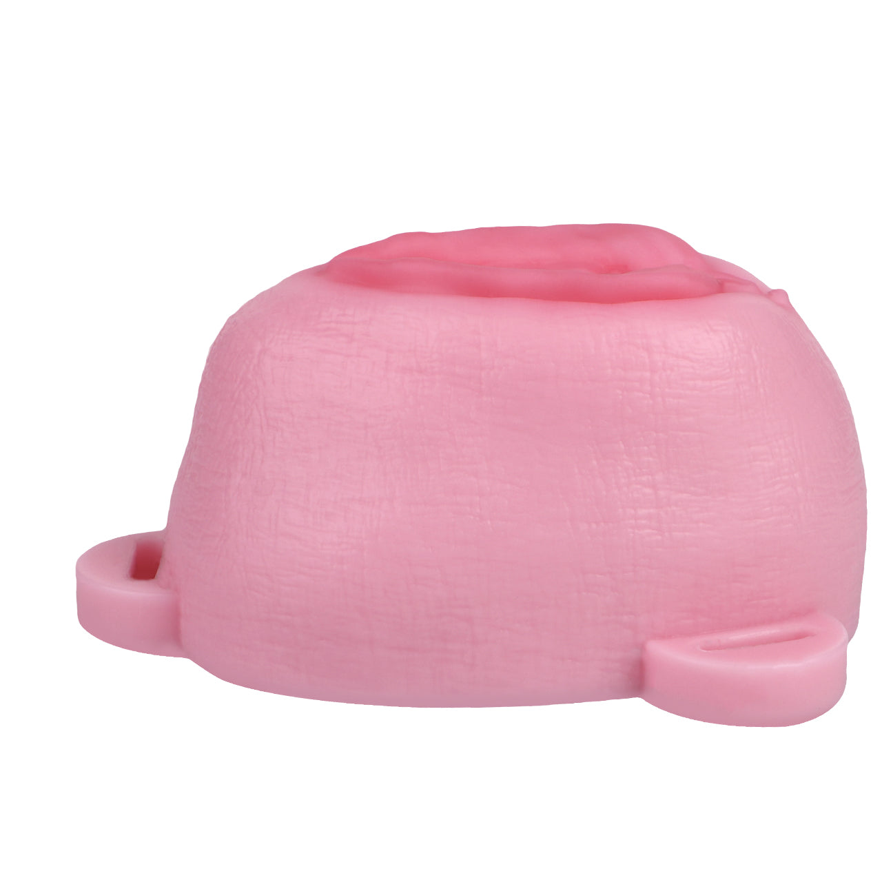 Sissy Feminization Pussy Panties