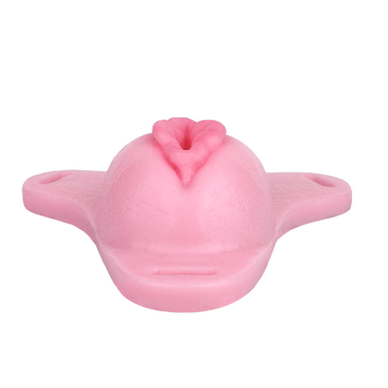 Sissy Feminization Pussy Panties - Standard Size-AS667S