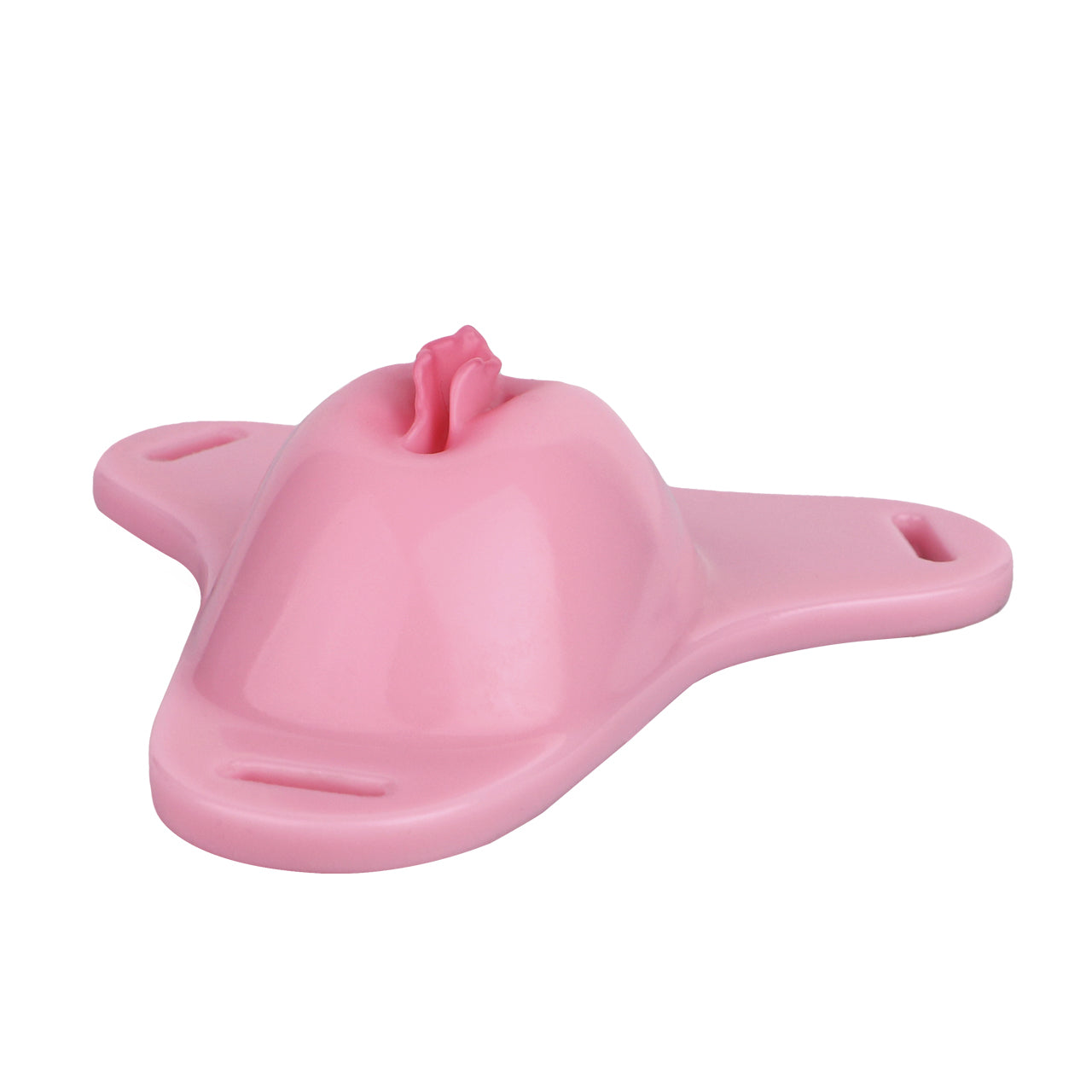 Sissy Feminization Pussy Panties - Standard Size