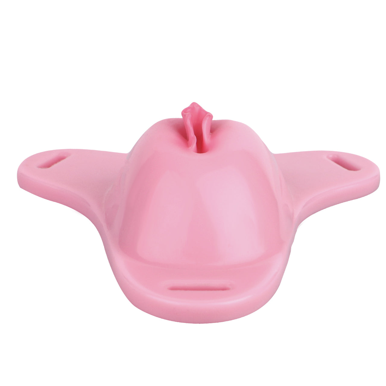 Sissy Feminization Pussy Panties - Standard Size