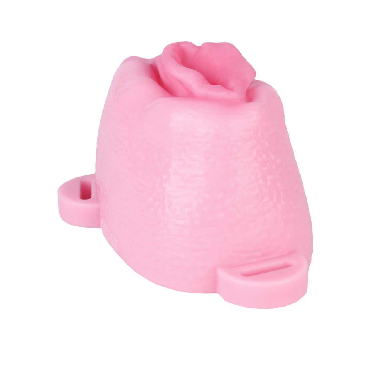Sissy Feminization Pussy Panties