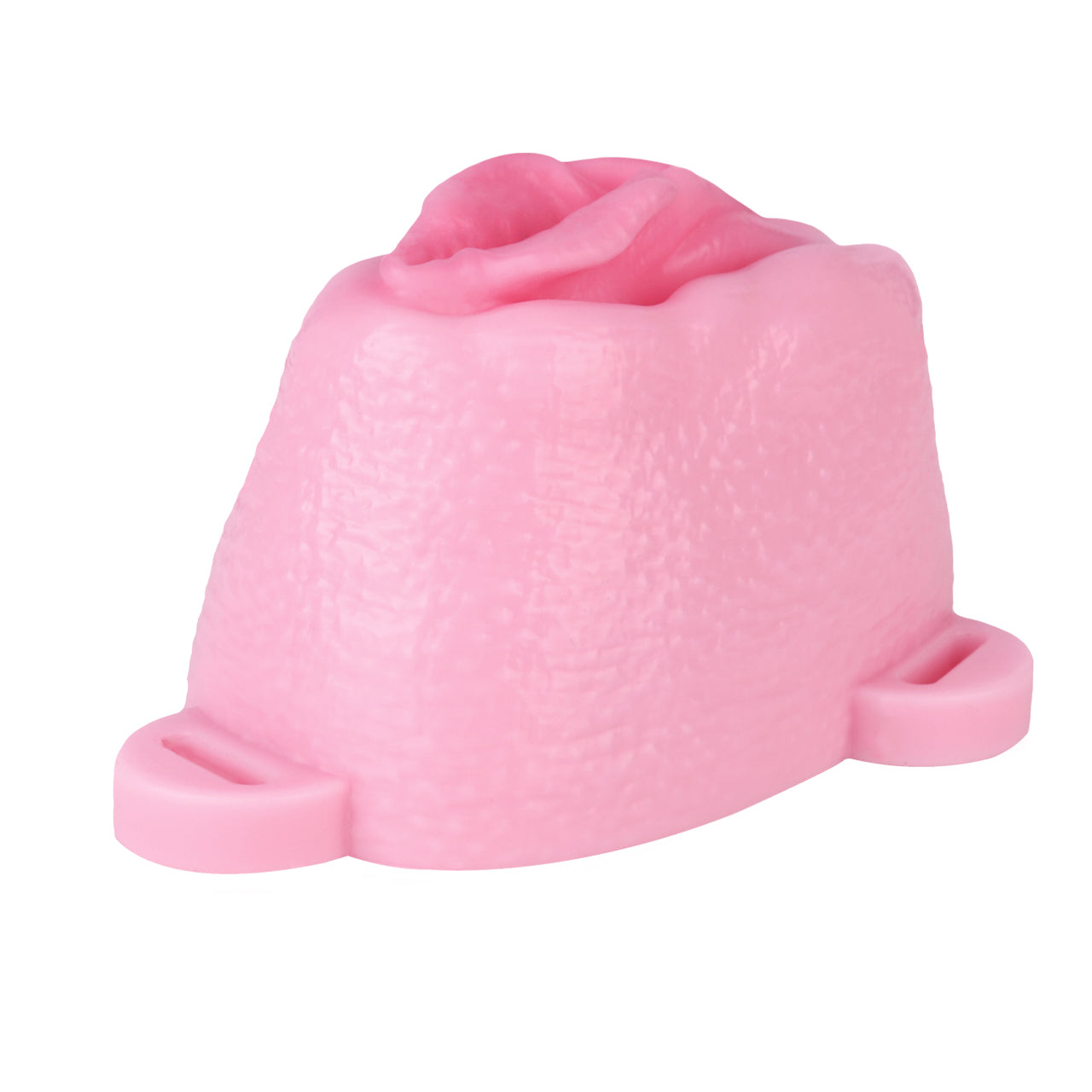 Sissy Feminization Pussy Panties