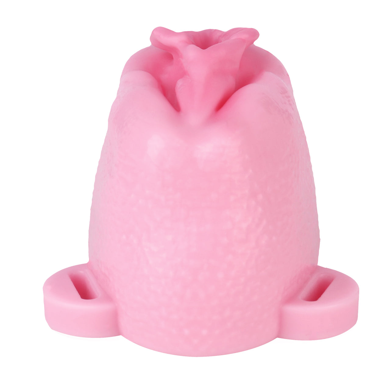 Sissy Feminization Pussy Panties