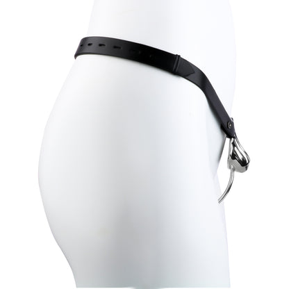 Wearable Metal Shell Invisible Chastity Cage