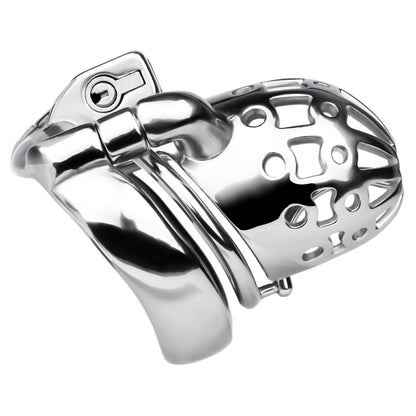 Weighted PA Chastity Cage