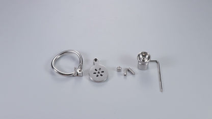 Inverted Chastity Cage With Dildo Allen Wrench Lock, F3401