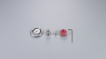 Large Flat Plate Inverted Chastity Cage With Pussy, F3405