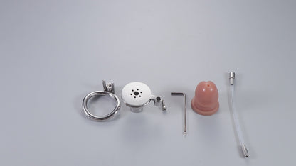 Screw Lock Inverted Double Cylinder Chastity Cage With Dildo & Catheter, F3410